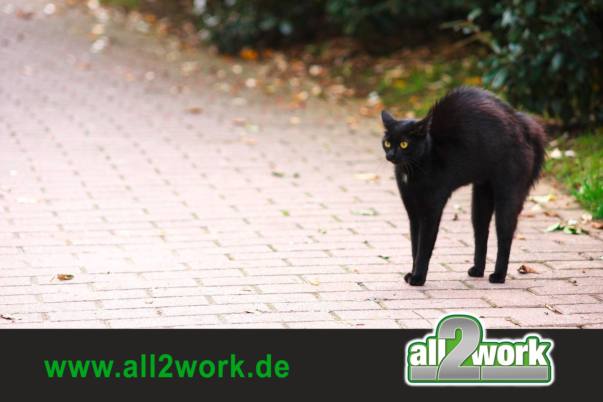 friday-13-g40a2c3e81_1920_bearbeitet Freitag der Dreizehnte