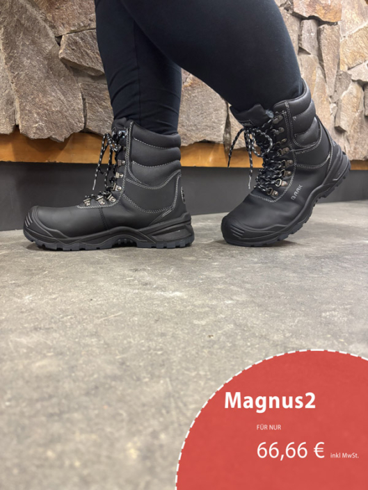 Magnus2